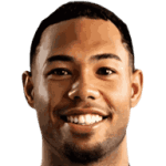 Милан ван Ейвик